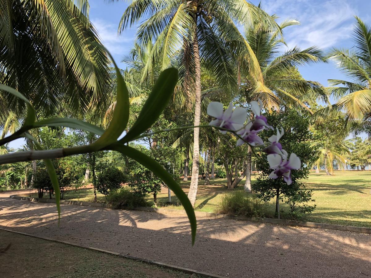 Hotel Lagoon Paradise Negombo Exterior photo