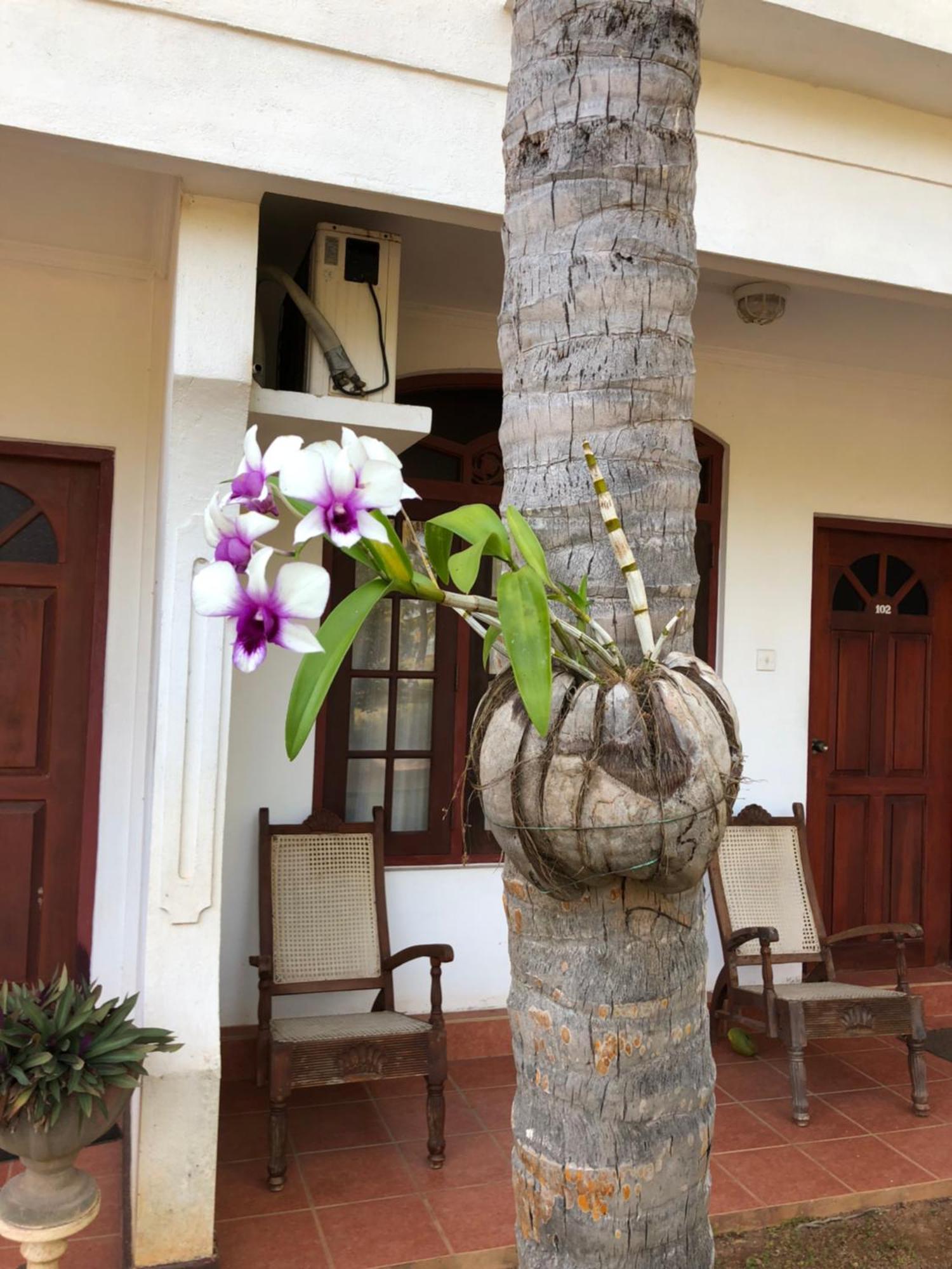 Hotel Lagoon Paradise Negombo Exterior photo
